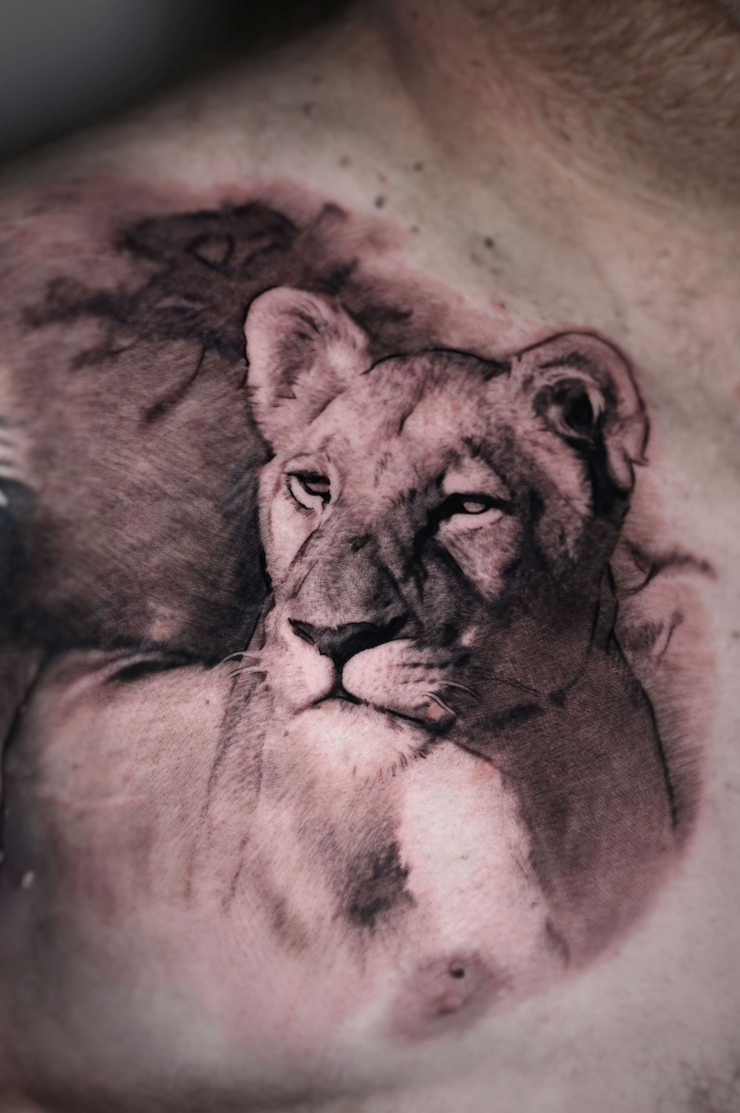 Color portrait tattoos Glasgow with realism stylee