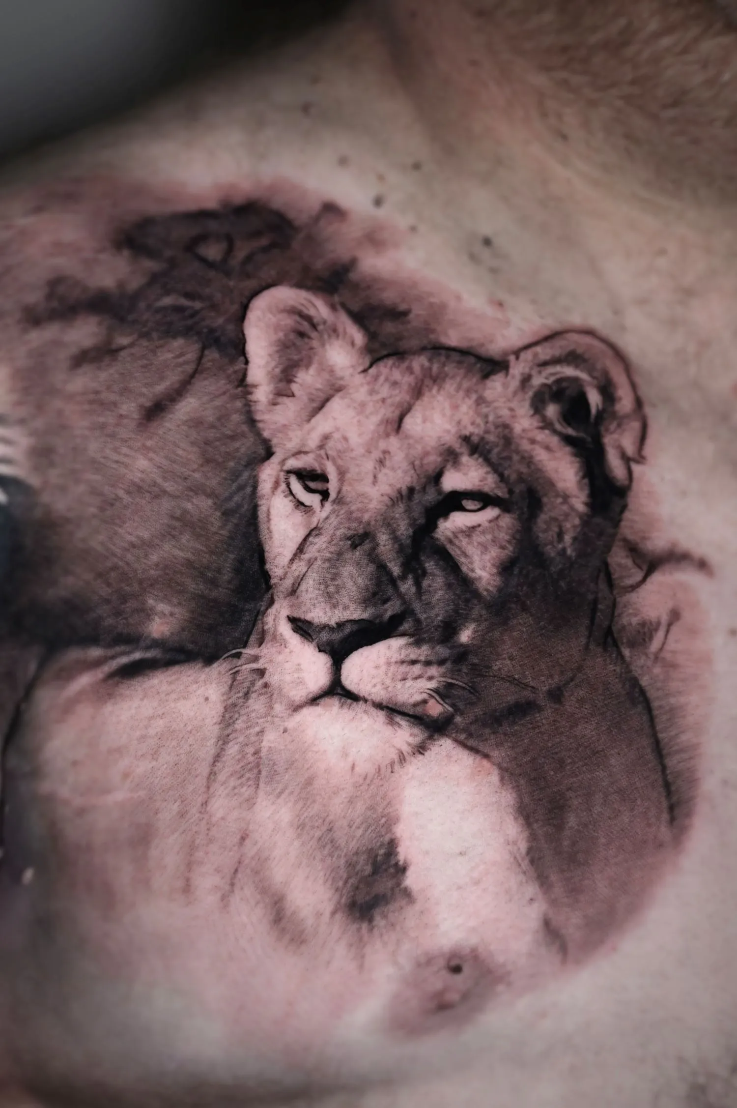 Color portrait tattoos Glasgow with realism stylee